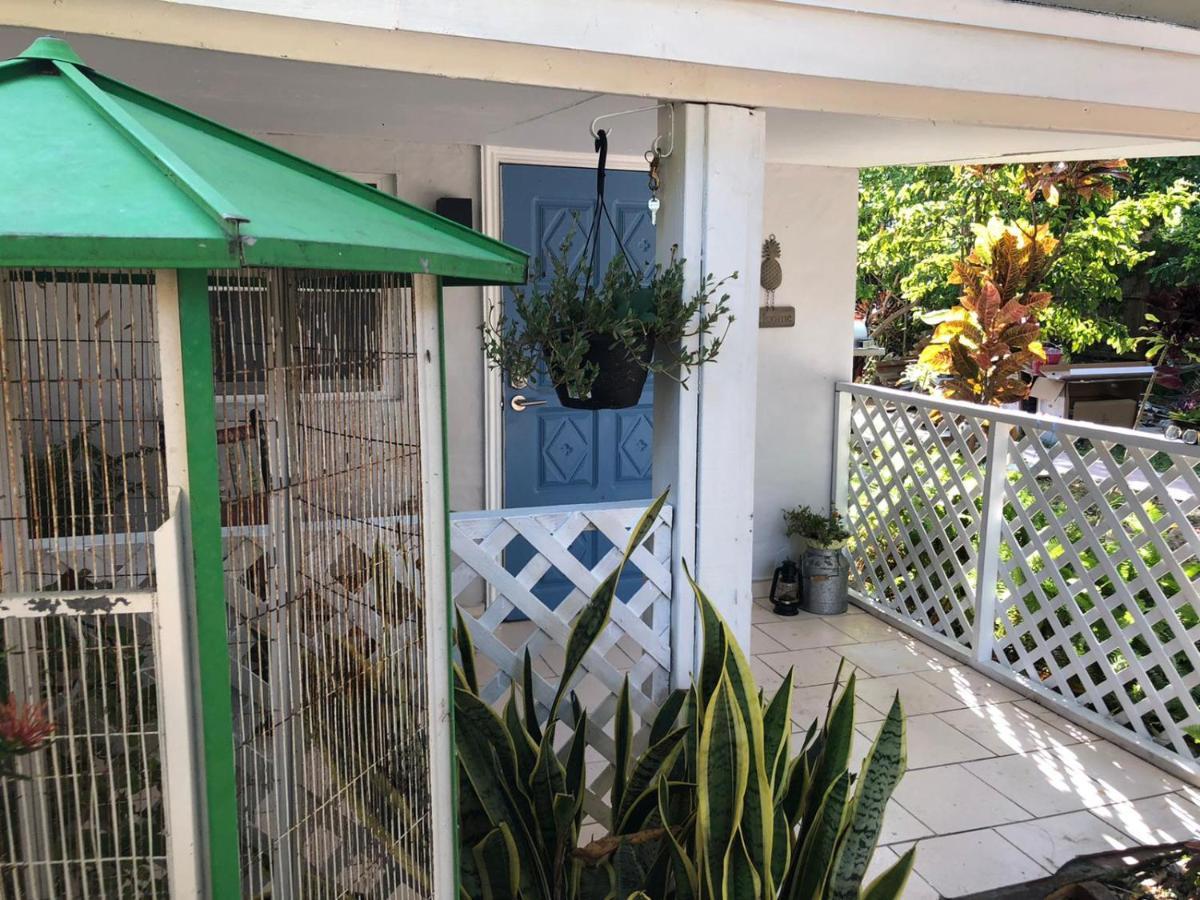 Independent Studio In Little Havana Miami Exteriör bild