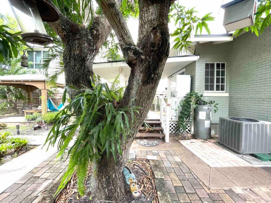 Independent Studio In Little Havana Miami Exteriör bild