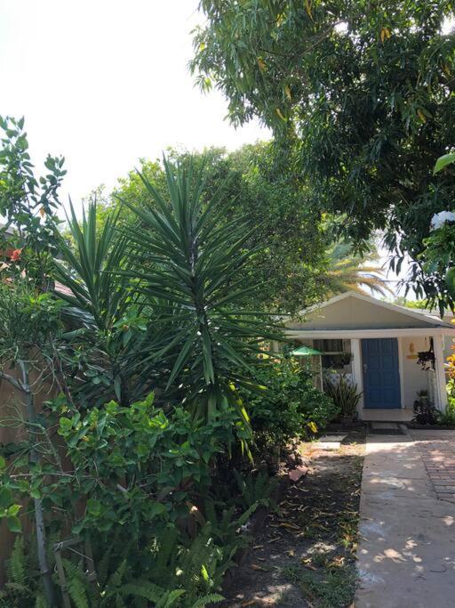 Independent Studio In Little Havana Miami Exteriör bild